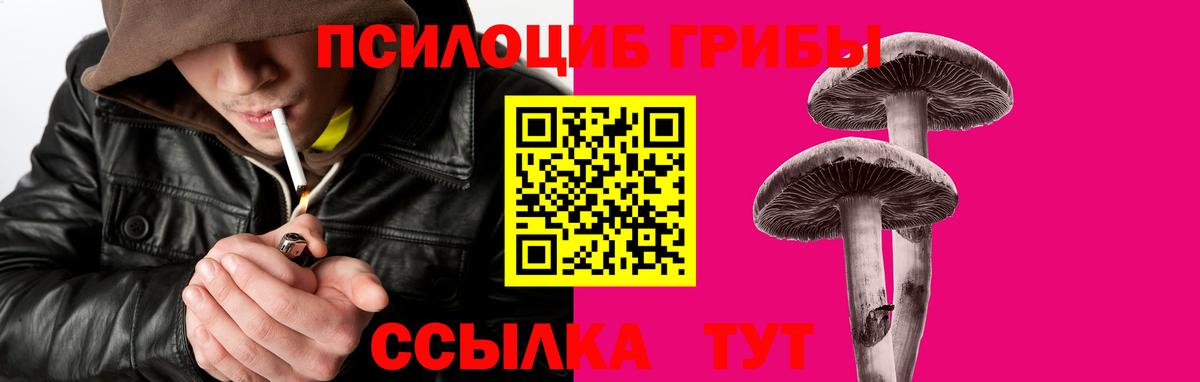 купить  цена  Вход с VPN  Ивантеевка  Галлюциногенные грибы Psilocybine cubensis 